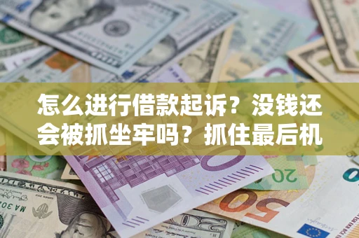 武汉怎么进行借款起诉？没钱还会被抓坐牢吗？抓住最后机会！