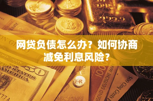 武汉网贷负债怎么办？如何协商减免利息风险？