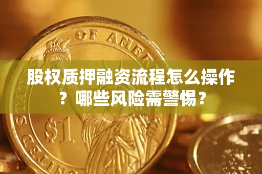 武汉股权质押融资流程怎么操作？哪些风险需警惕？