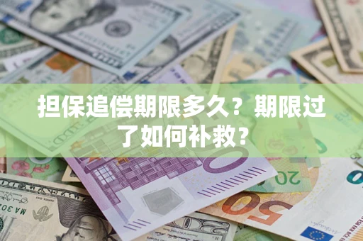 武汉担保追偿期限多久？期限过了如何补救？
