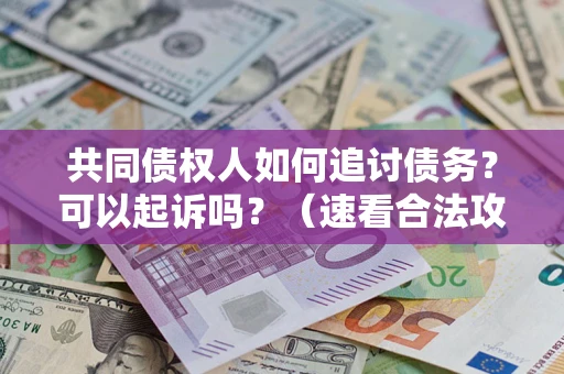 武汉共同债权人如何追讨债务？可以起诉吗？（速看合法攻略）