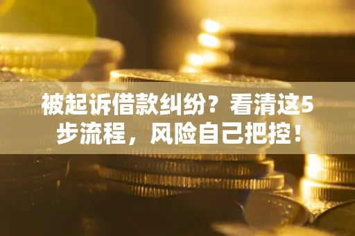 武汉被起诉借款纠纷？看清这5步流程，风险自己把控！
